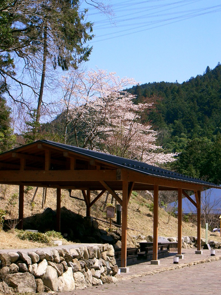 足湯　桜