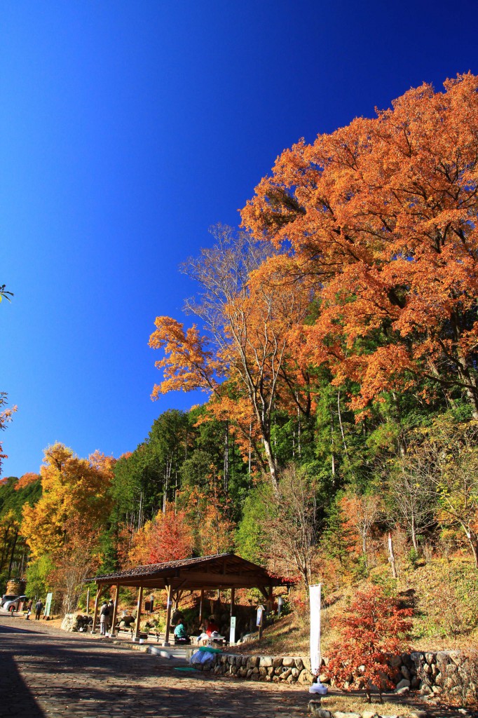 足湯　紅葉