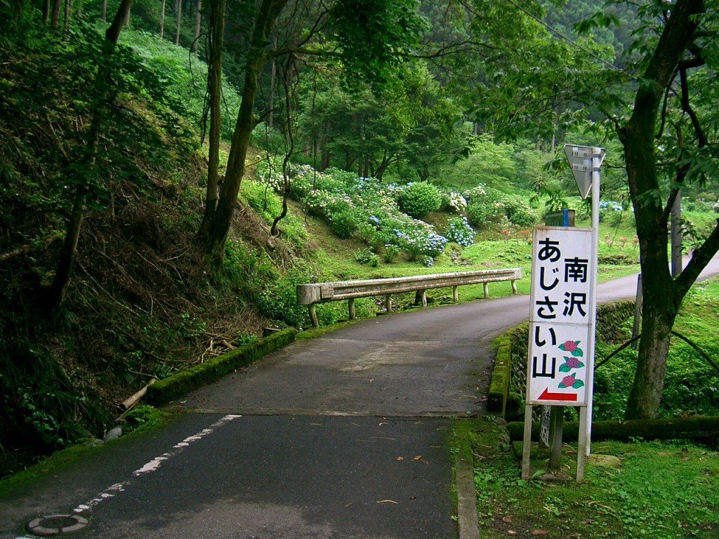 あじさい山