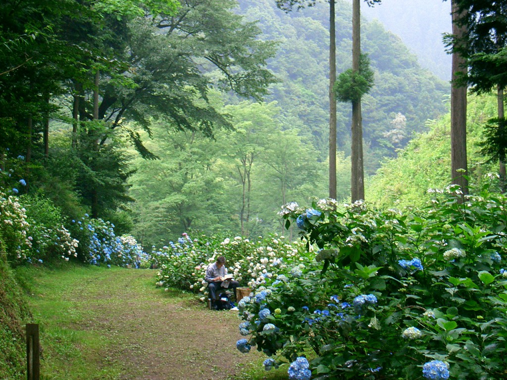 あじさい山