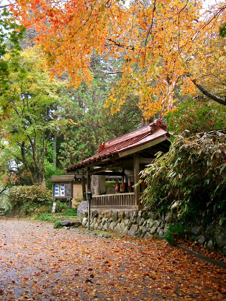 光厳寺 秋