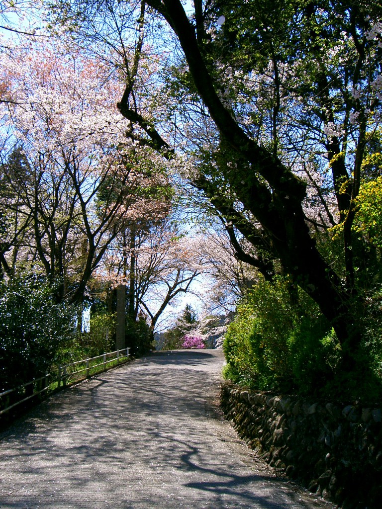 光厳寺